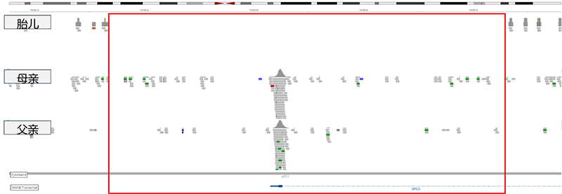 1761023025629058816.png 图片1.png