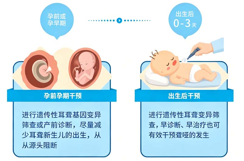 遗传性耳聋基因筛查科普.jpg