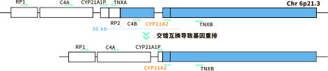 CAH 图2-72dpi.jpg