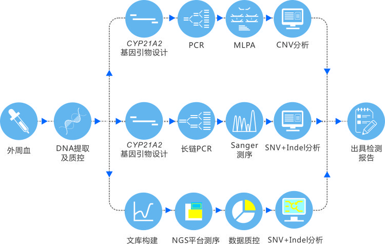 CAH 图3-72dpi.jpg