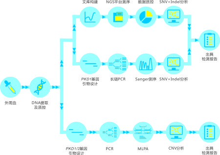 5 多囊肾 图1.jpg