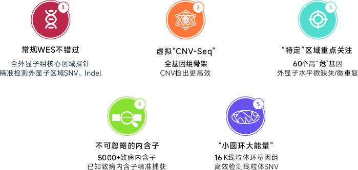 OmniSeek全外显子组检测-图1.jpg