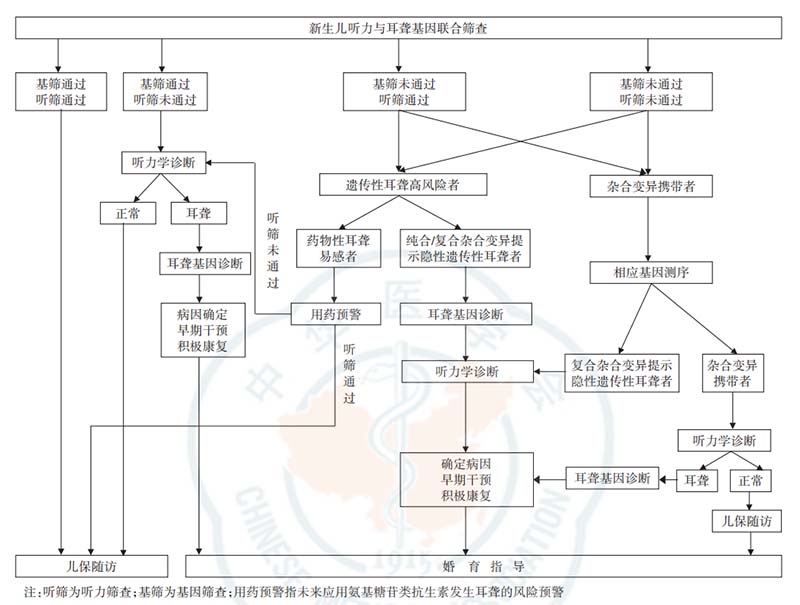 新生儿耳聋遗传咨询流程图[1].jpg
