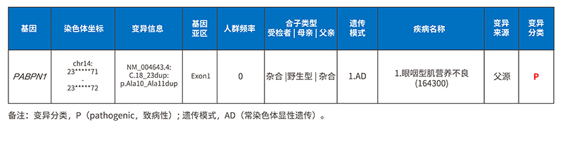 1-检测结果.jpg