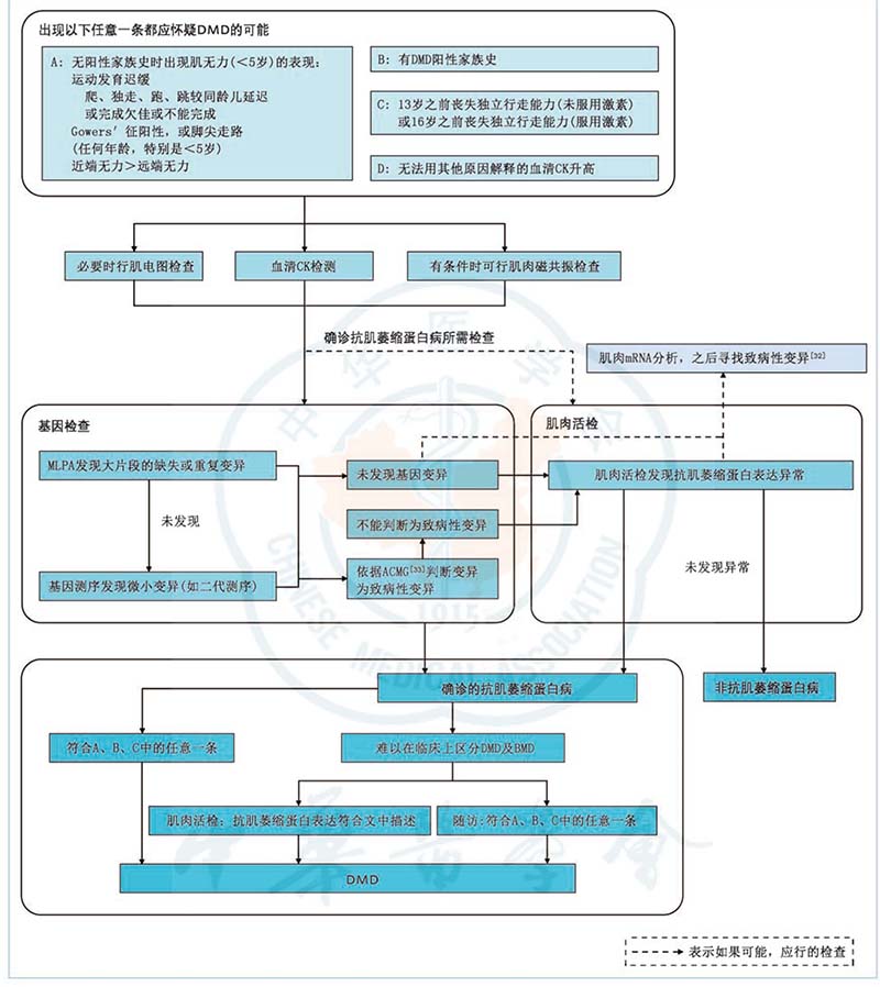 DMD诊断流程.jpg