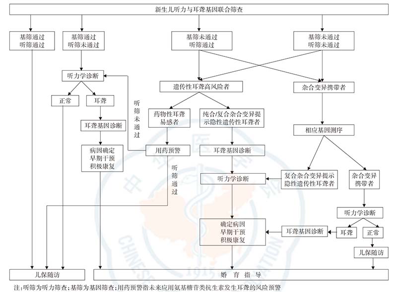 新生儿耳聋遗传咨询流程图.jpg