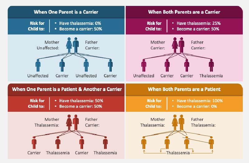 thalassemia-slide7.jpg