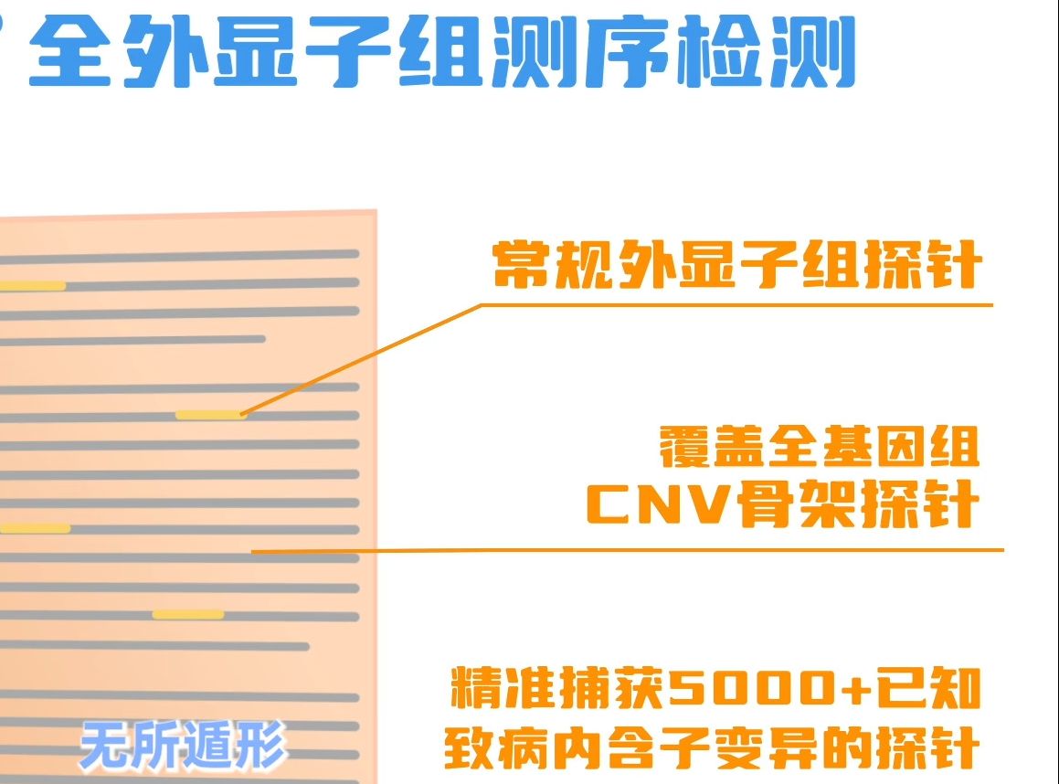 OmniSeek® 产前全外显子组测序 让外显子组上任何类型的变异，无所遁形！