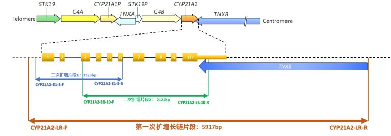 剪贴板图片 (1).jpg